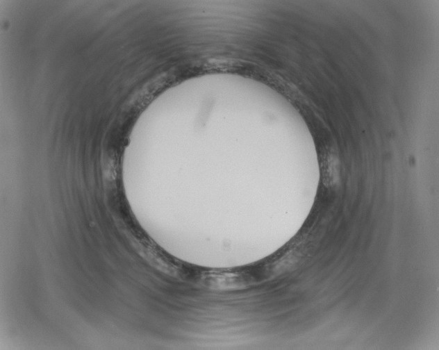 X0000078830472200612111524