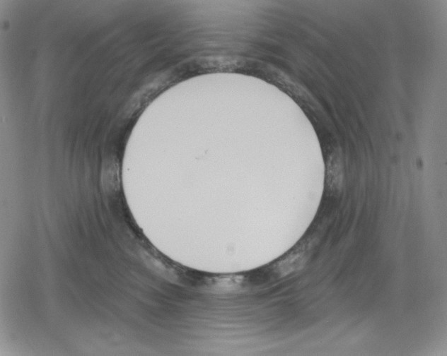 X0000078830474200612111524