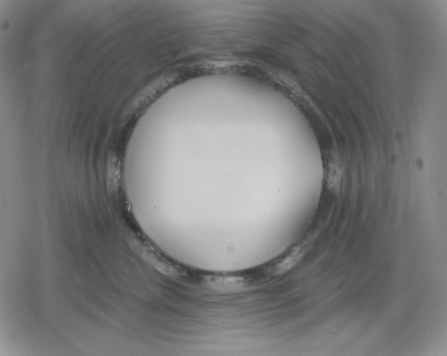 X0000078830476200612111524