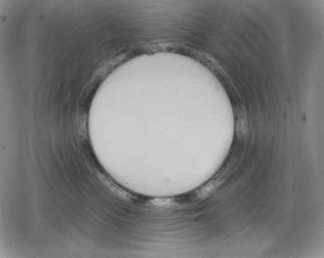 X0000078830477200612111524