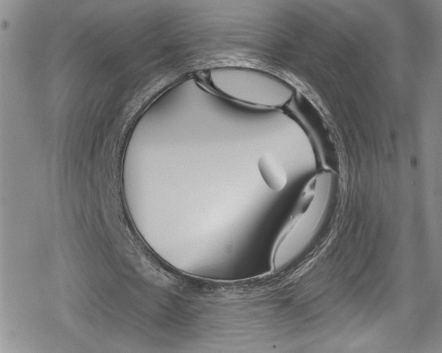 X0000078830481200612111523