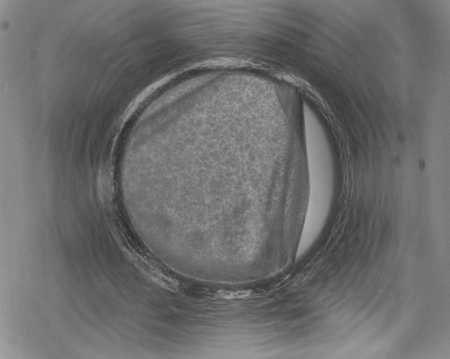 X0000078830484200612111523