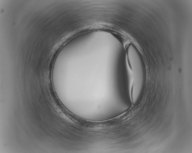 X0000078830485200612111523