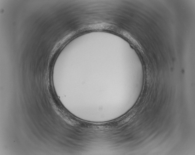 X0000078830486200612111523