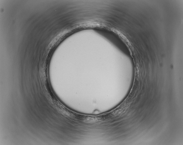 X0000078830487200612111523