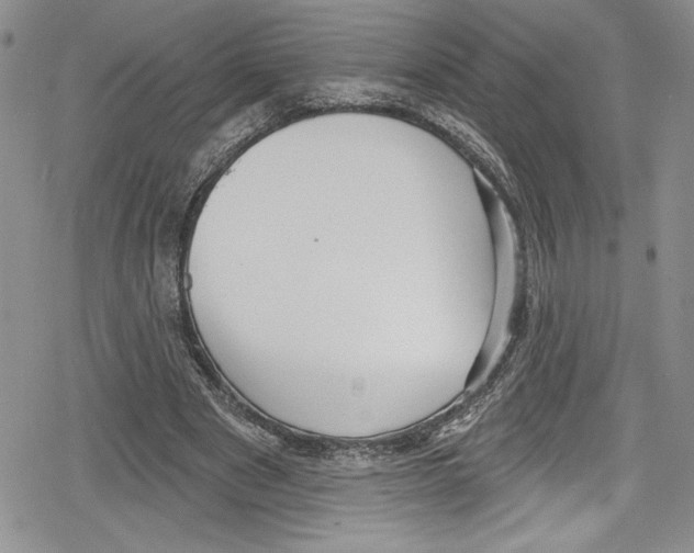 X0000078830489200612111523