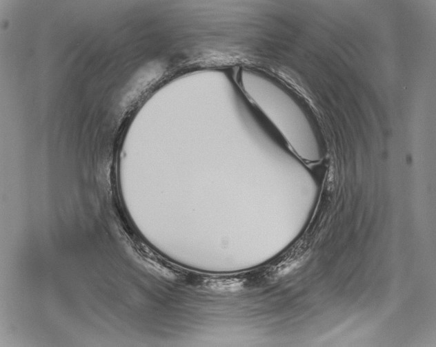 X0000078830491200612111523