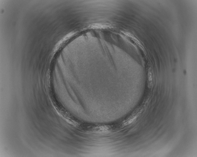 X0000078830492200612111523