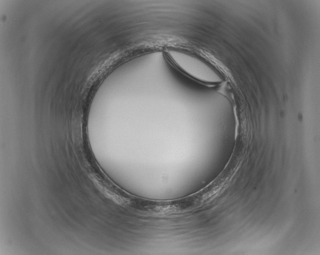 X0000078830493200612111523