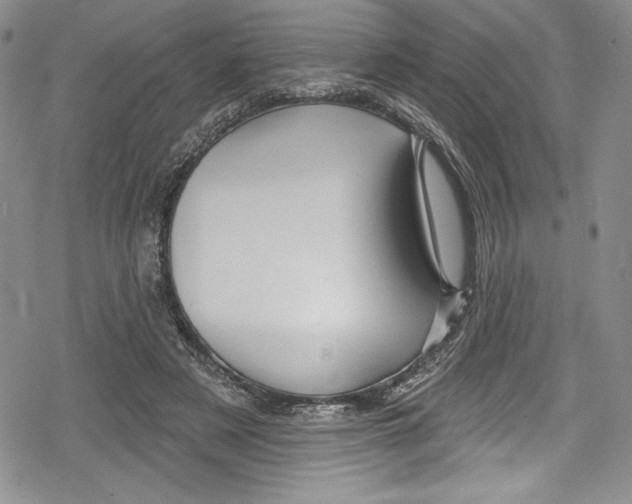 X0000078830497200612111523