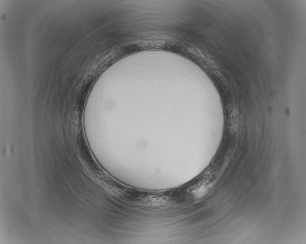 X0000078830498200612111523