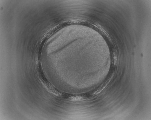 X0000078830500200612111523