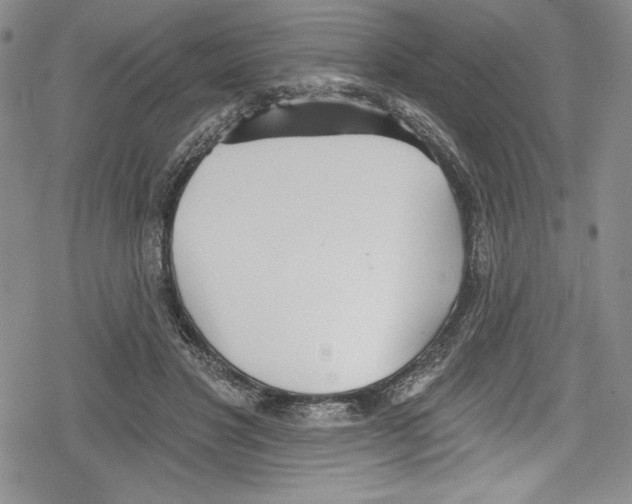 X0000078830501200612111523