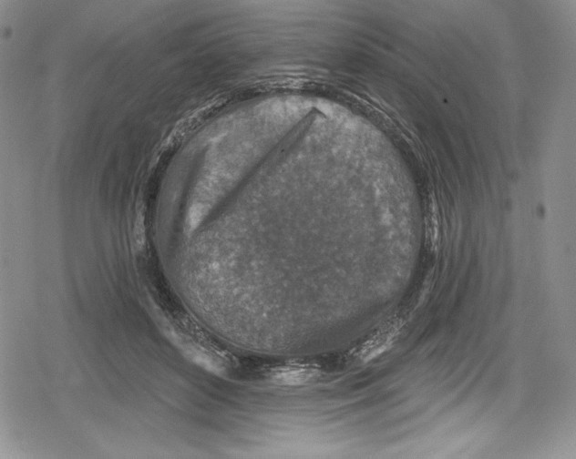 X0000078830504200612111523