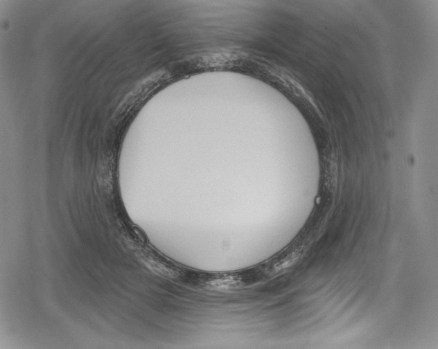 X0000078830505200612111523