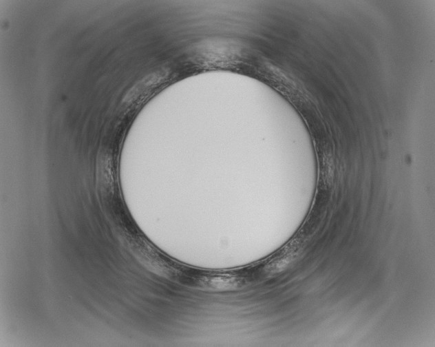 X0000078830506200612111523