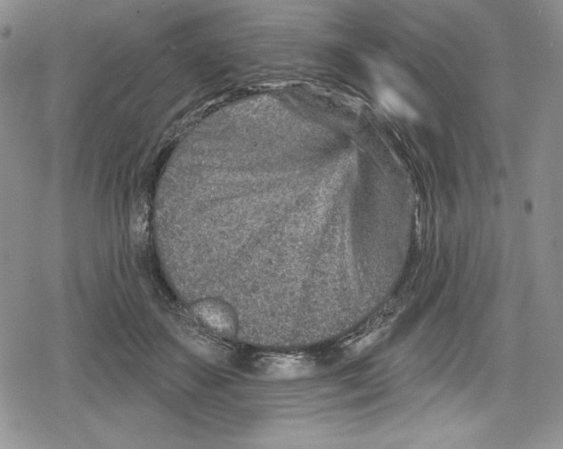 X0000078830507200612111523