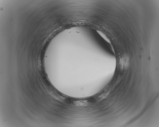 X0000078830508200612111523