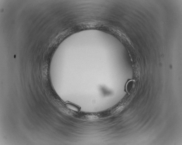 X0000078830509200612111523