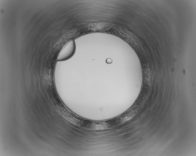 X0000078830510200612111523