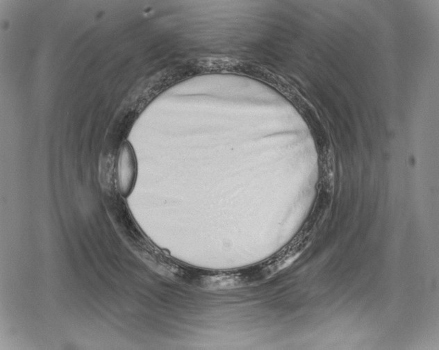 X0000078830511200612111523