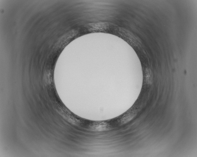 X0000078830514200612111523