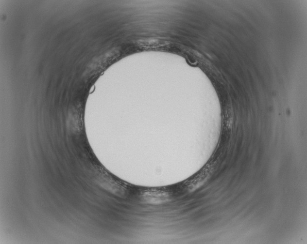 X0000078830515200612111523