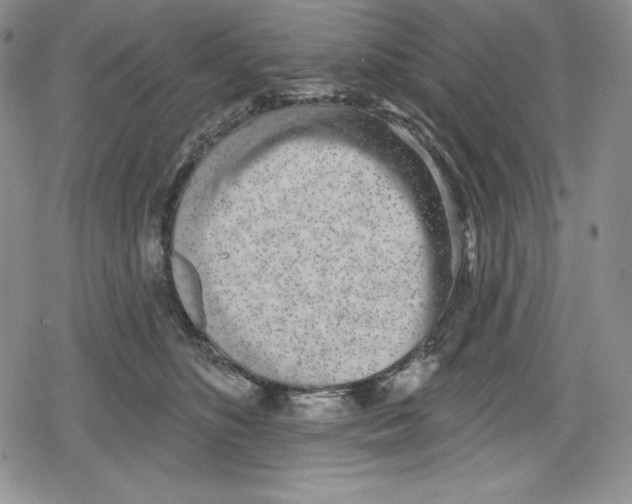 X0000078830516200612111523