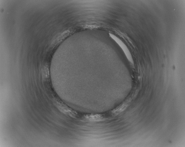 X0000078830517200612111523