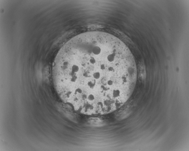 X0000078830519200612111523