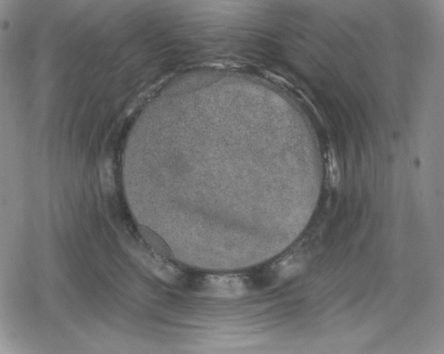 X0000078830520200612111523