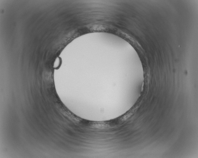 X0000078830521200612111523