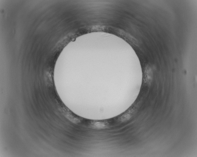 X0000078830522200612111523