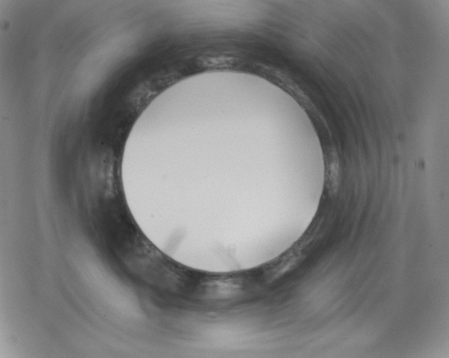 X0000078830525200612111523