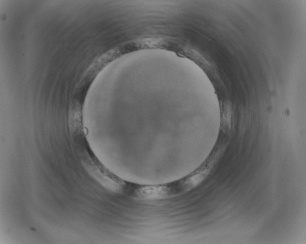 X0000078830526200612111523