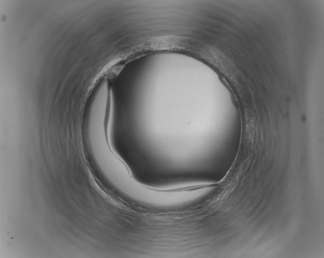 X0000078830530200612111522