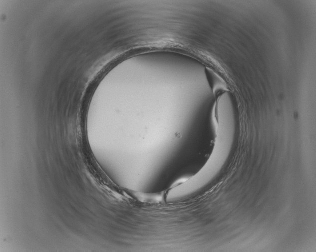 X0000078830532200612111522