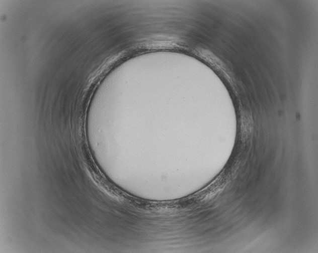 X0000078830533200612111522