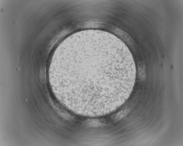 X0000078830534200612111522