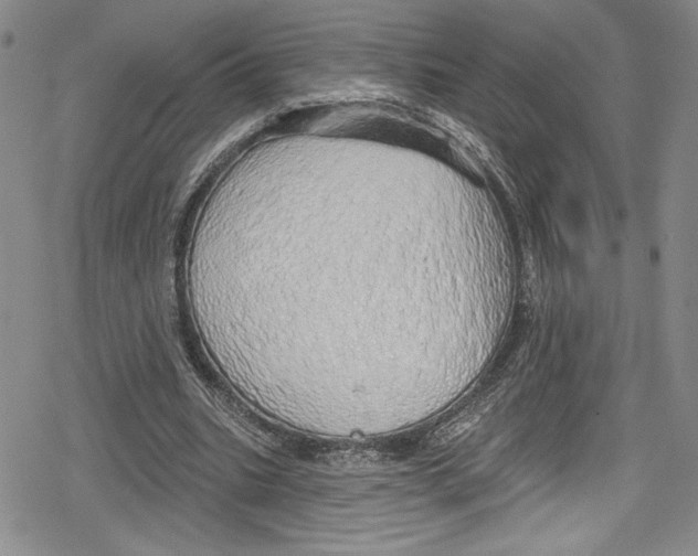 X0000078830535200612111522