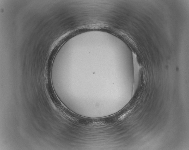 X0000078830536200612111522