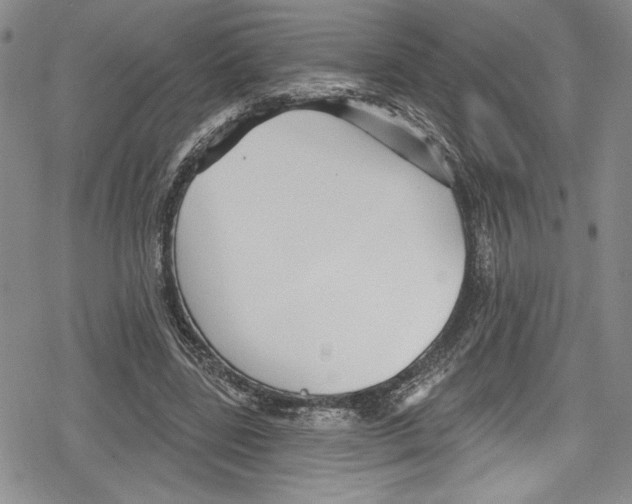 X0000078830539200612111522