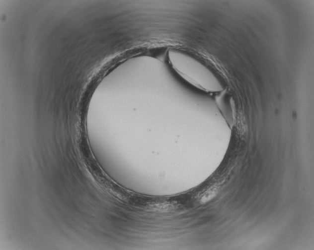 X0000078830540200612111522