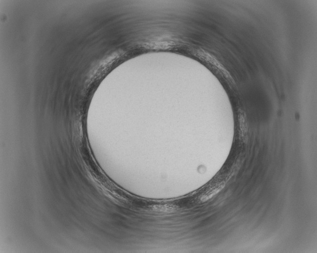 X0000078830541200612111522