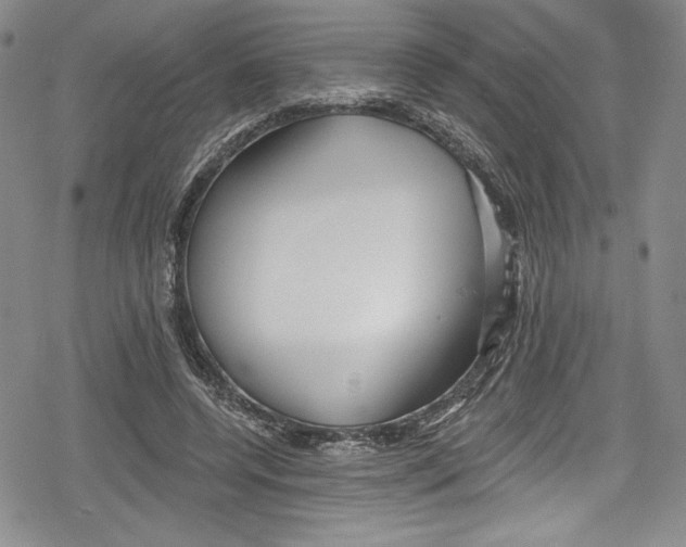 X0000078830544200612111522