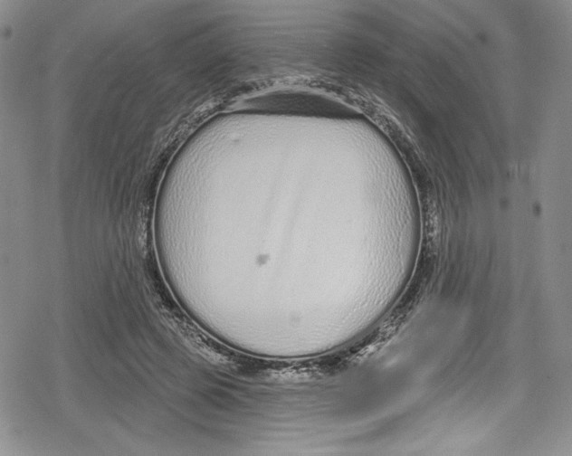 X0000078830545200612111522