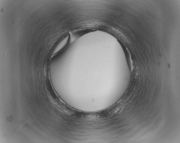 X0000078830546200612111522