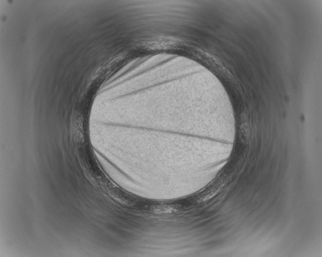 X0000078830547200612111522