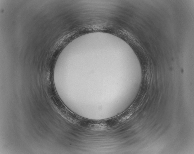 X0000078830548200612111522