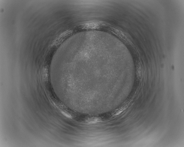 X0000078830551200612111522